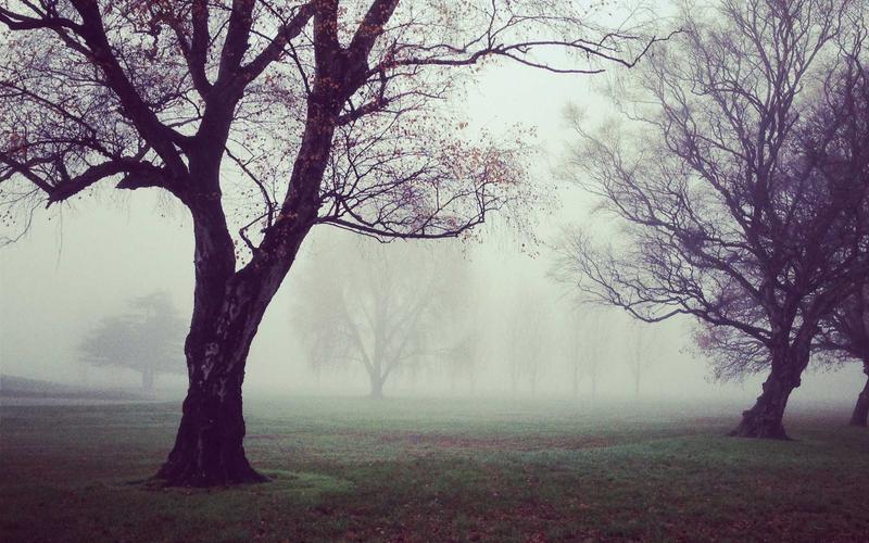 Photos of Jupiter From NASA Spacecraft, Both Near and Far