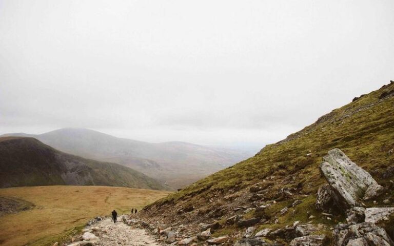 This Is a Giant Shipworm. You May Wish It Had Stayed In Its Tube.