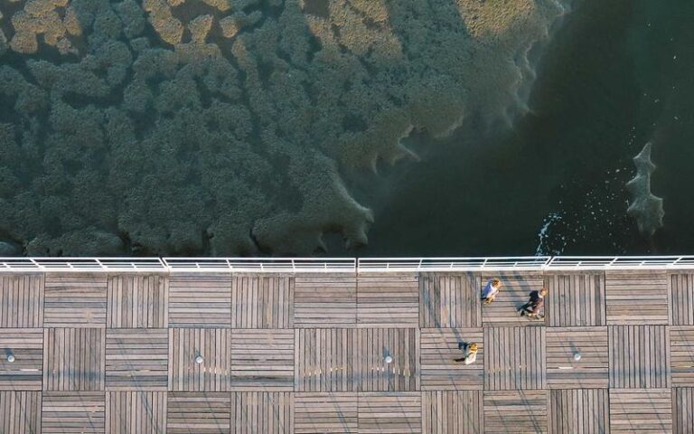 For Families of Teens at Microsoft Surface