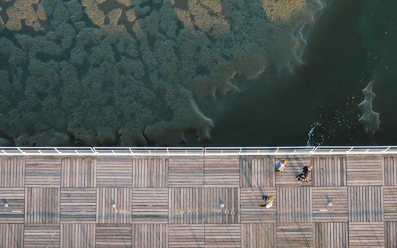 For Families of Teens at Microsoft Surface