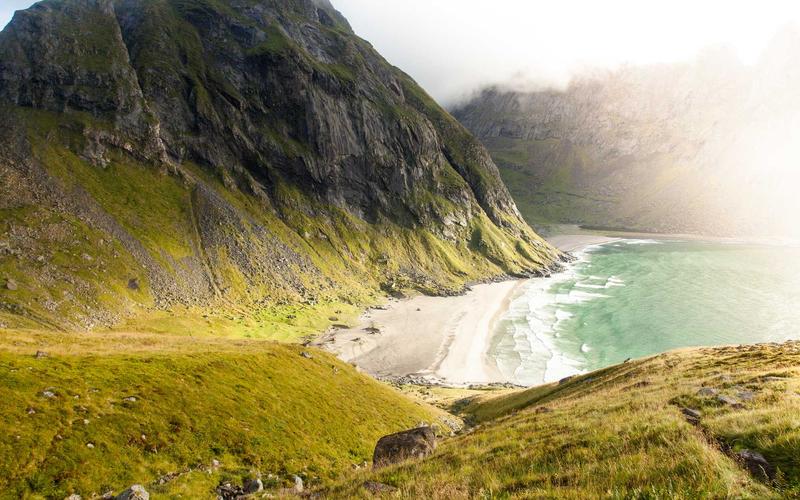 A Lesson From the Henrietta Lacks Story: Science Needs Your Cells